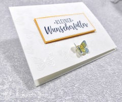 Schmetterlingsverschluss